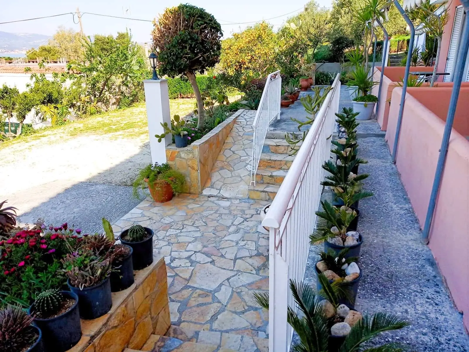 Oskars Studios & Apartments, Terrace