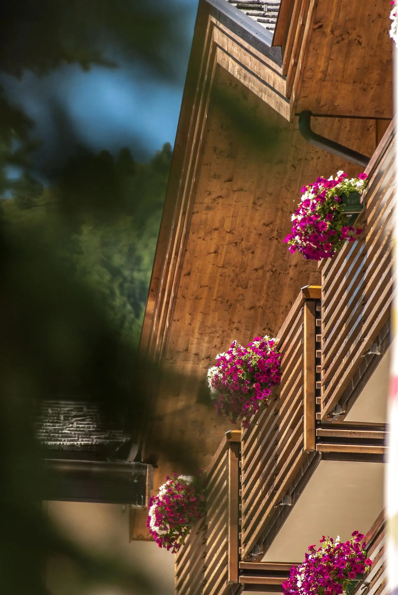 Lac Salin Spa & Mountain Resort, General view