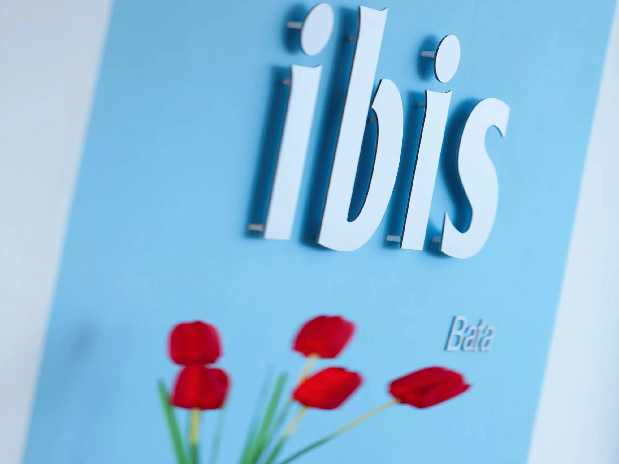 Ibis Bata, General view