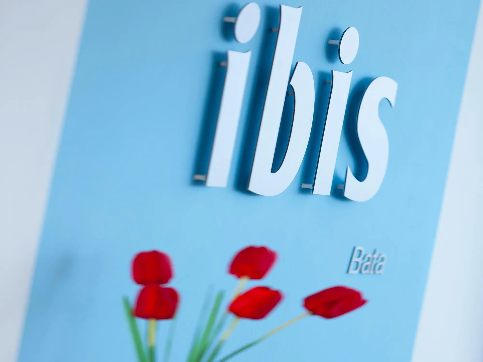 Ibis Bata, General view