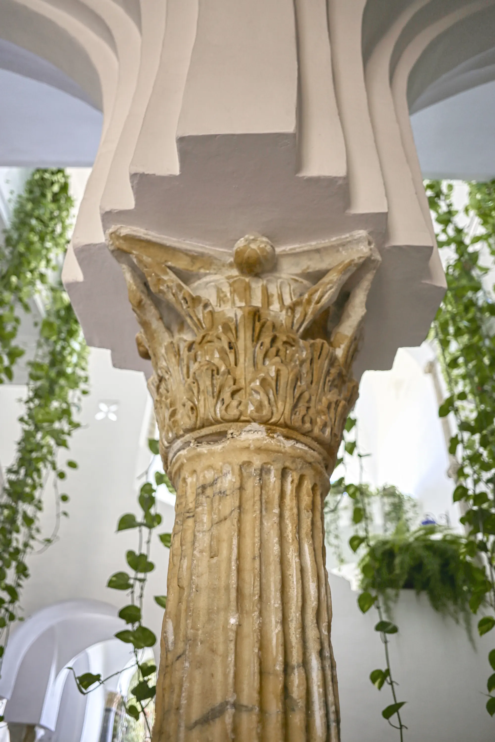 Hotel Palazzo Confalone, Lobby