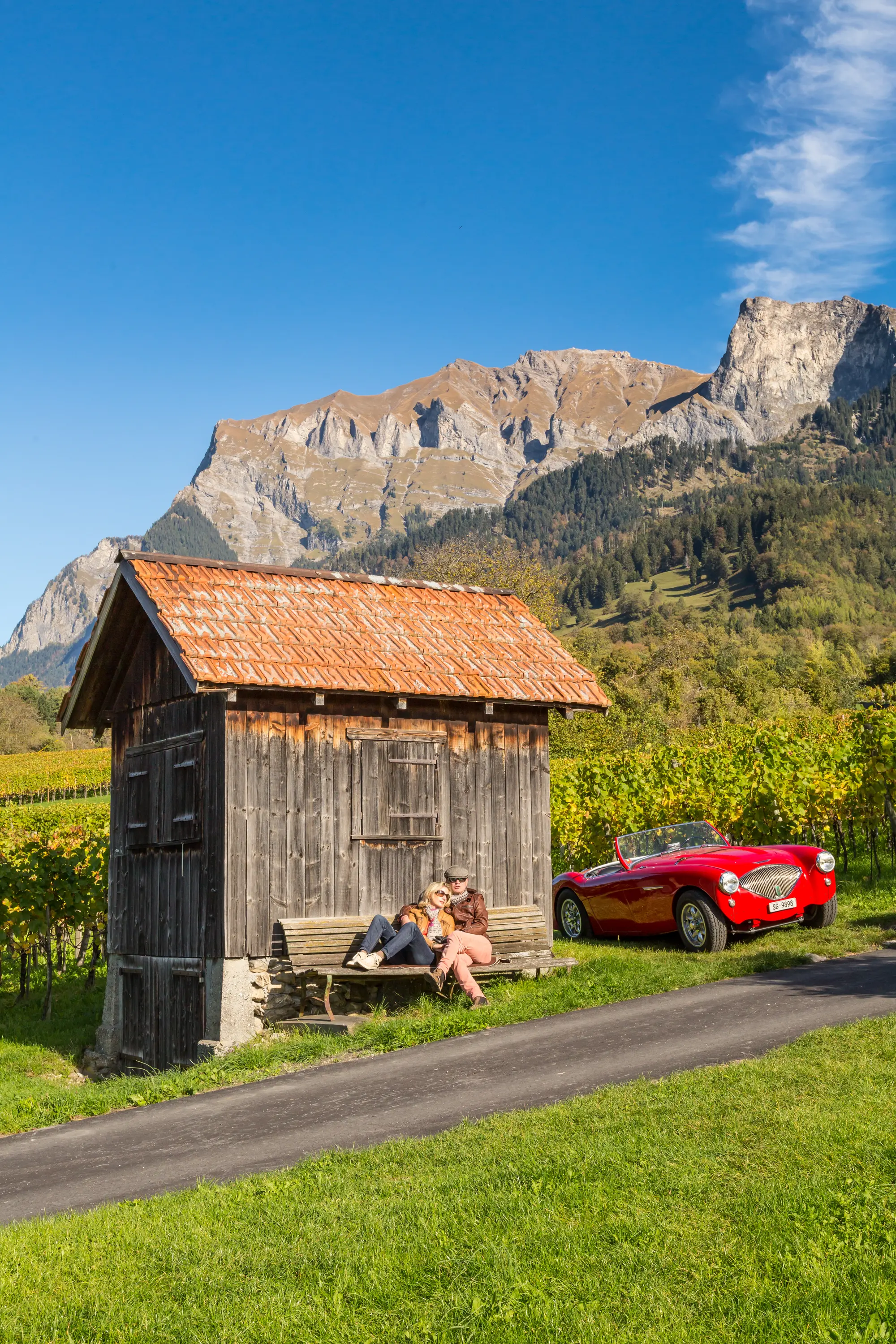 Swiss Heidi, General view
