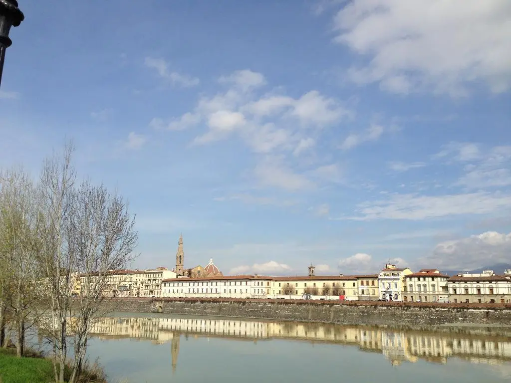 Ferrucci, General view