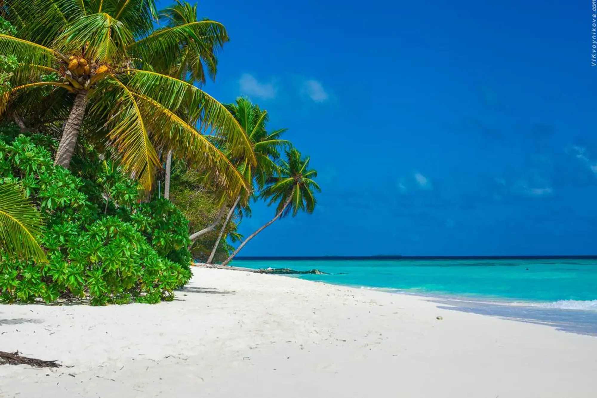 Stingray Beach Inn at Maafushi, Beach