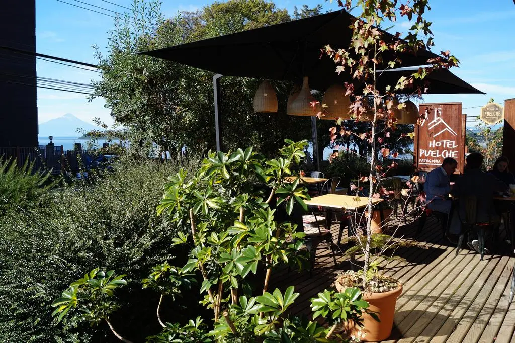 Puelche, General view