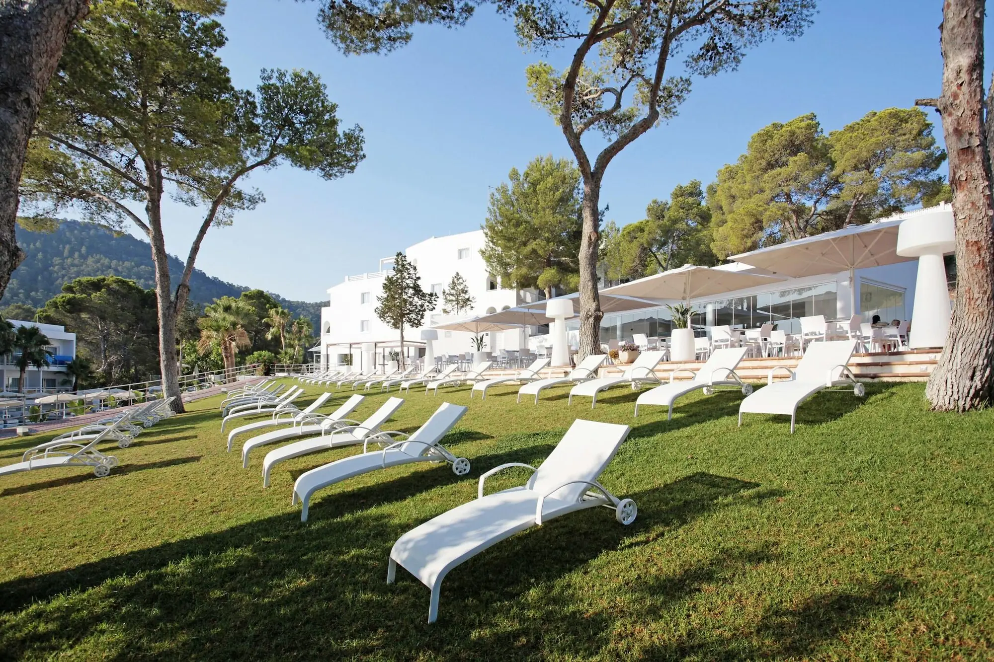 Grupotel Ibiza Beach Resort. Adults Only, General view
