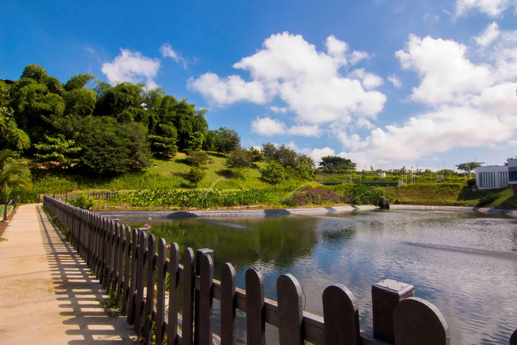 Sonesta Hotel Pereira, General view