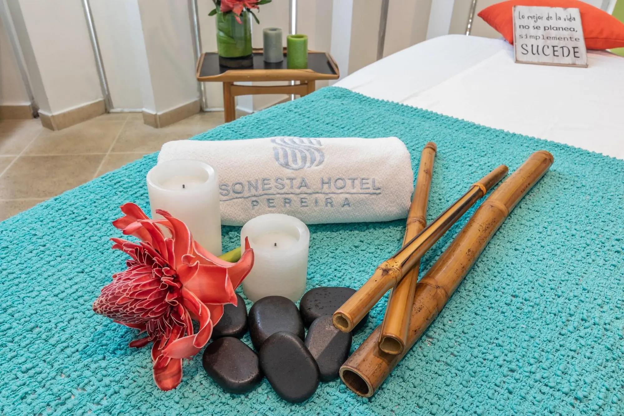 Sonesta Hotel Pereira, General view