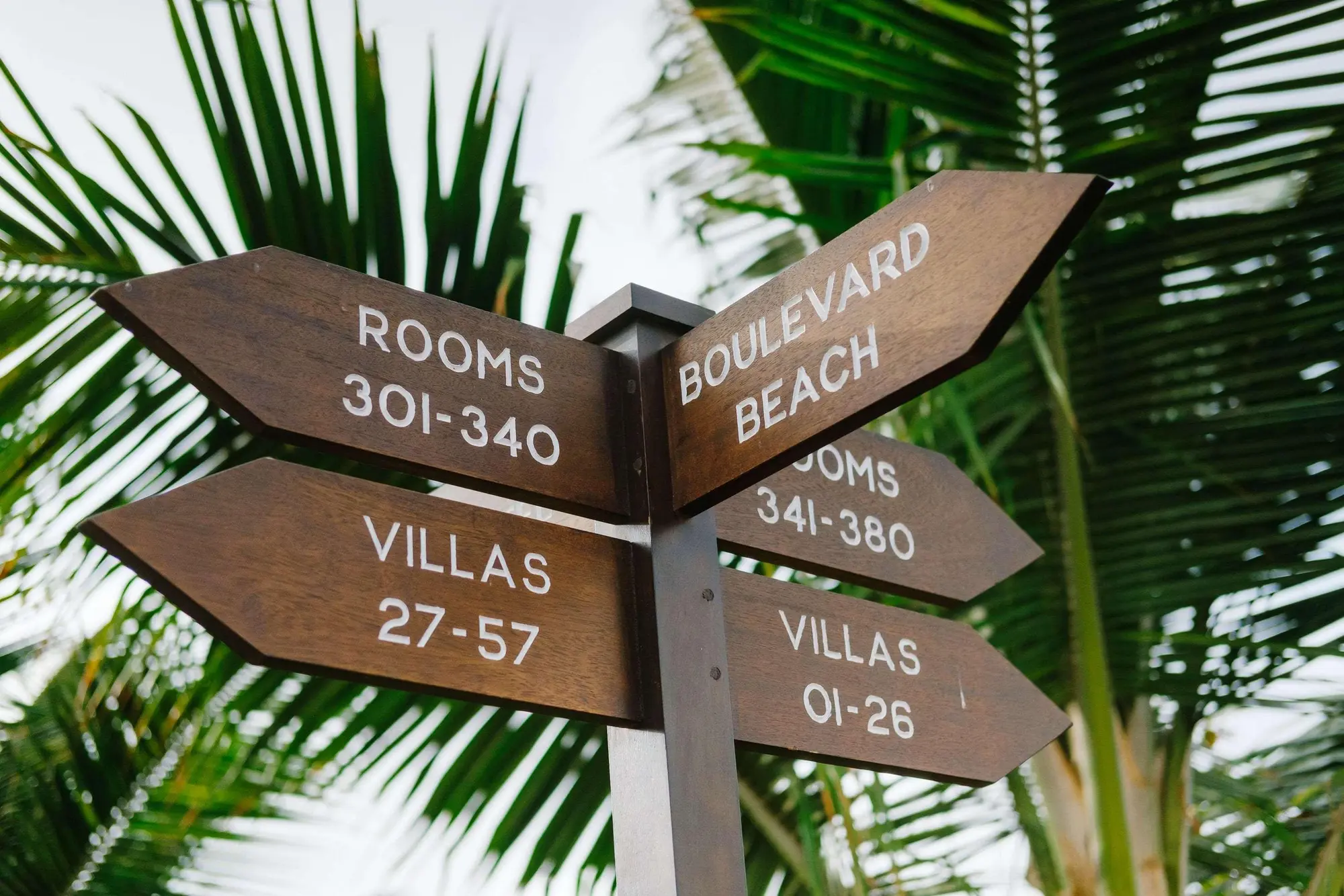 Melia Dunas Beach Resort & Spa, General view