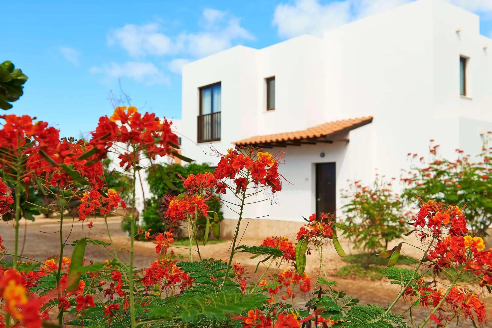 Melia Dunas Beach Resort & Spa, General view