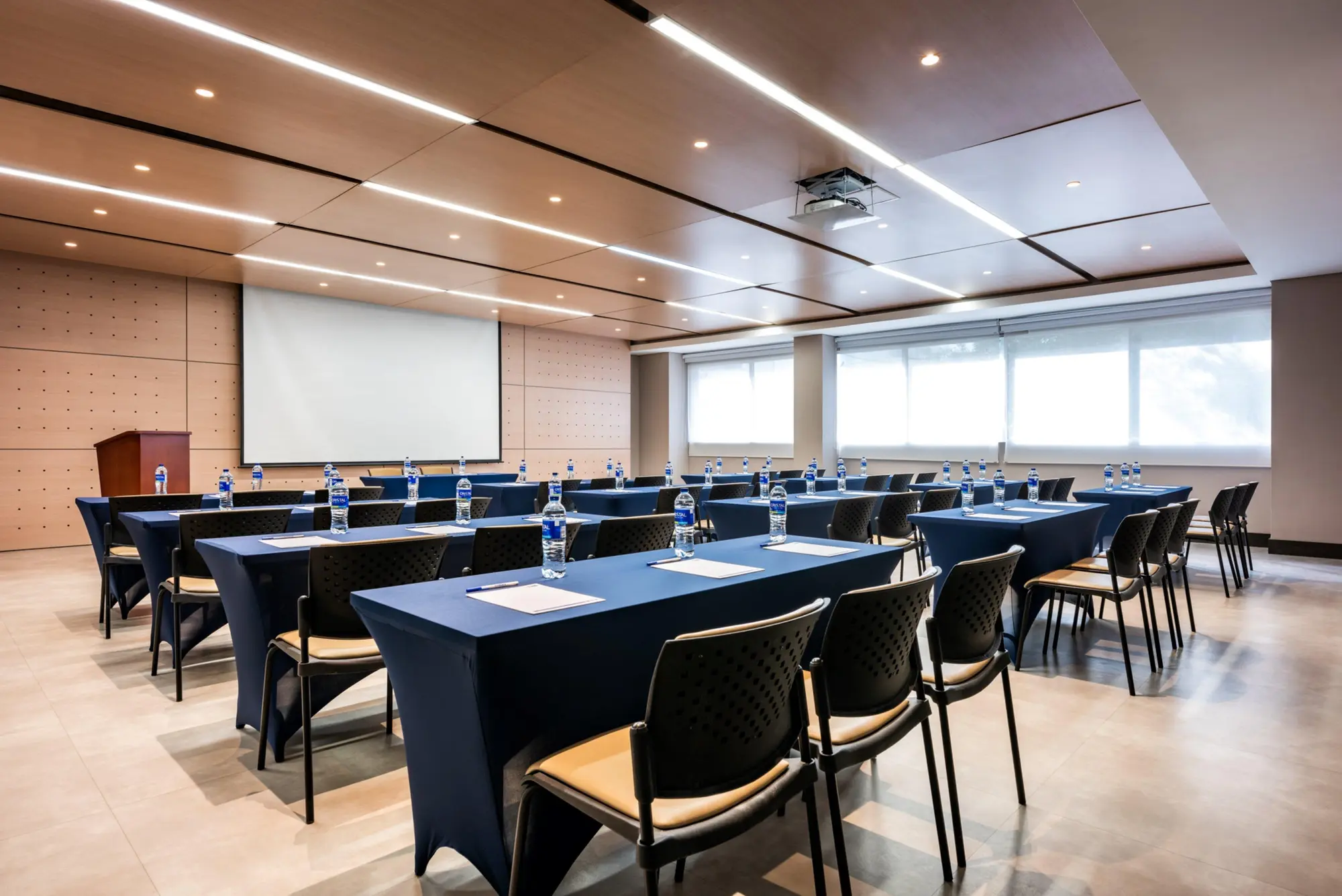 Holiday Inn Express Cartagena Bocagrande, Conferences