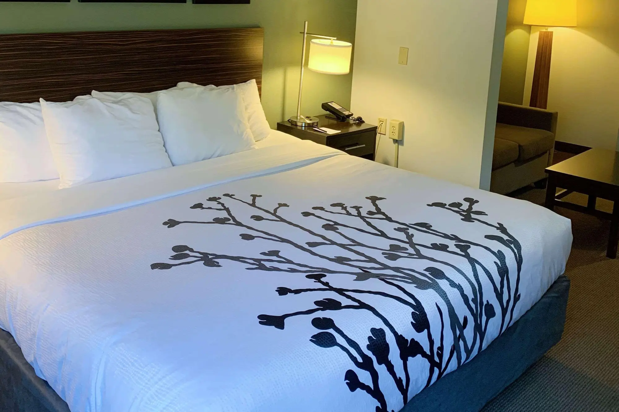 Sleep Inn & Suites, Room