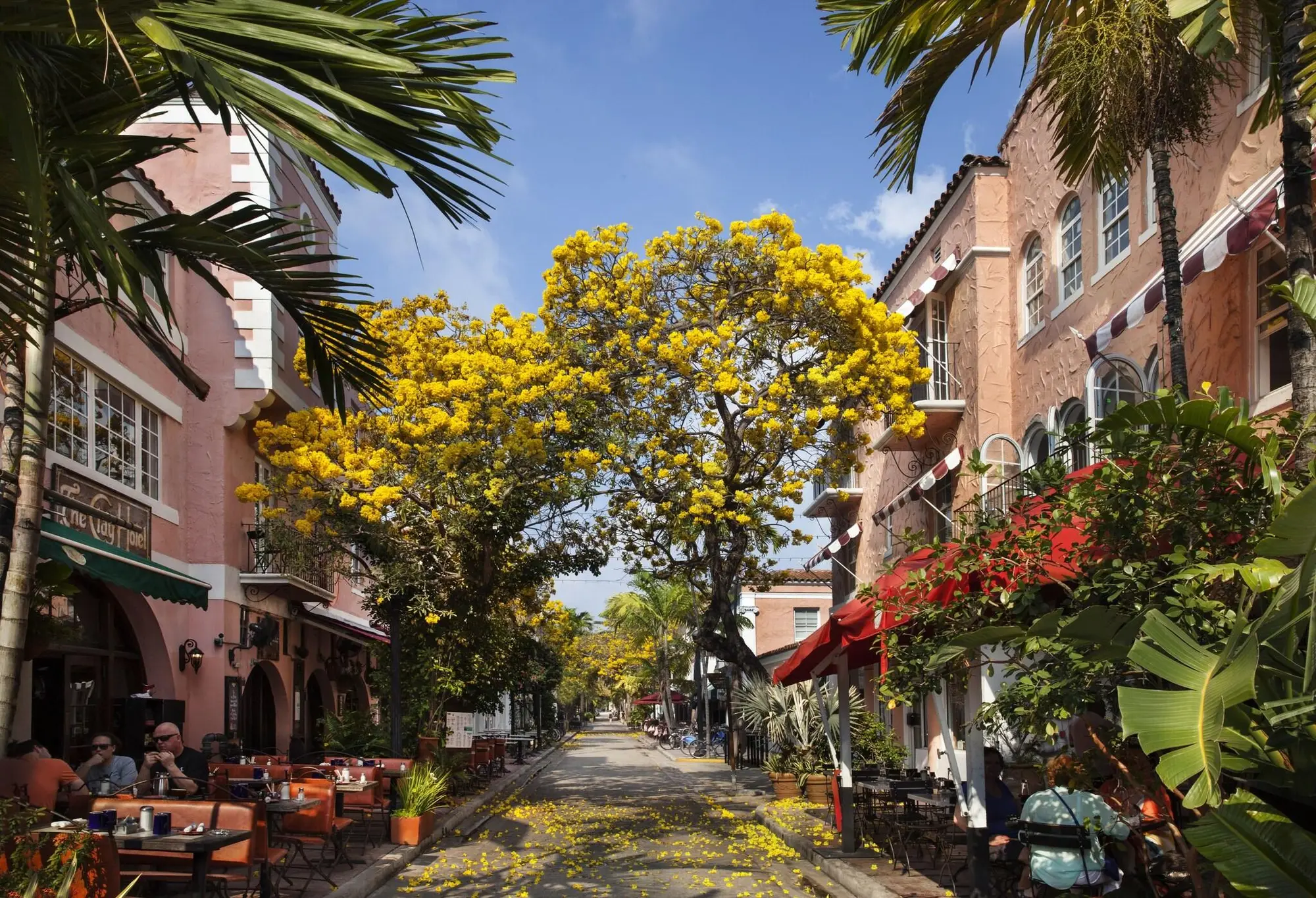 Kasa El Paseo Miami Beach, General view