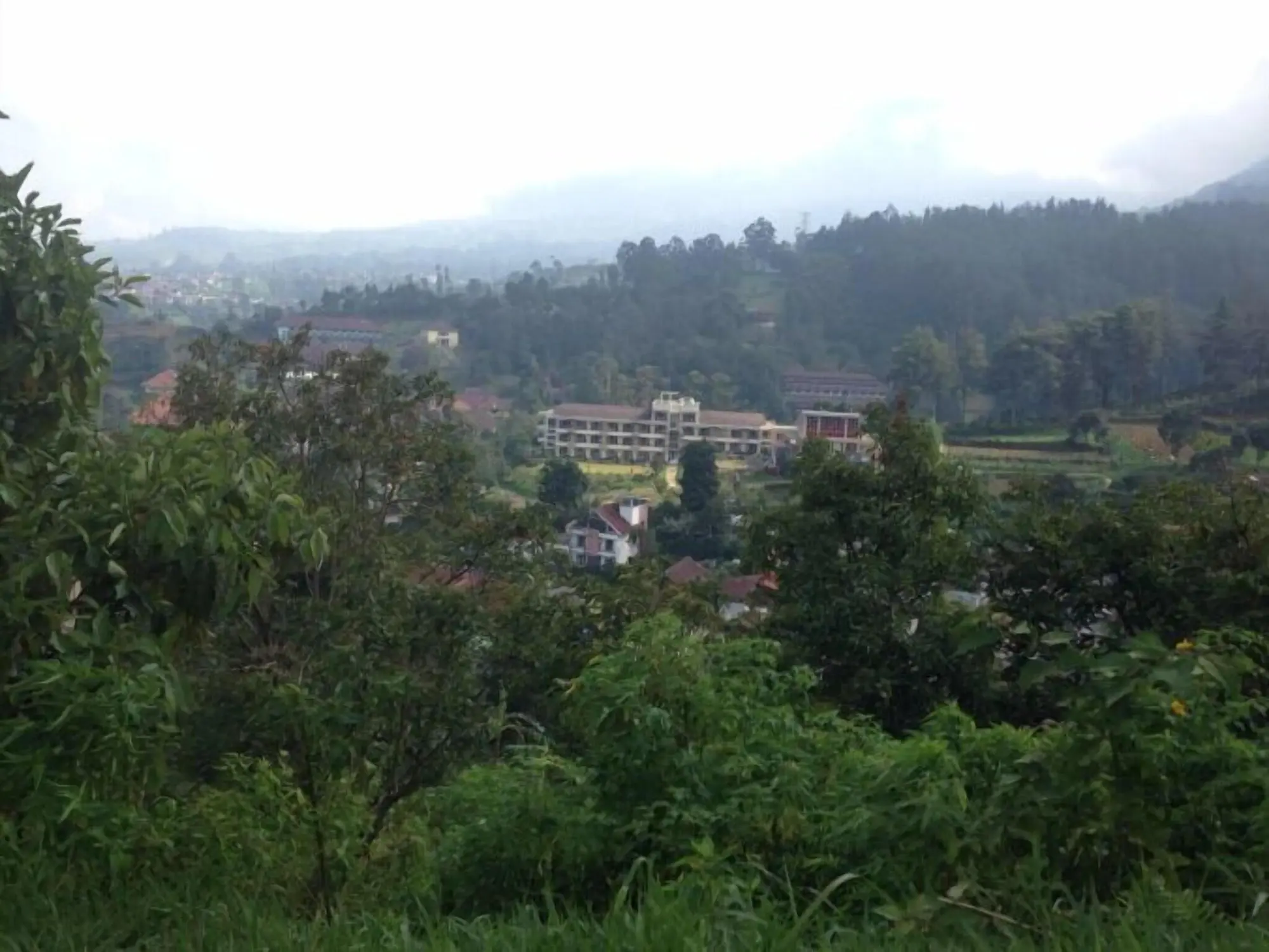 Casa Monte Rosa Hotel Ciloto Puncak, General view