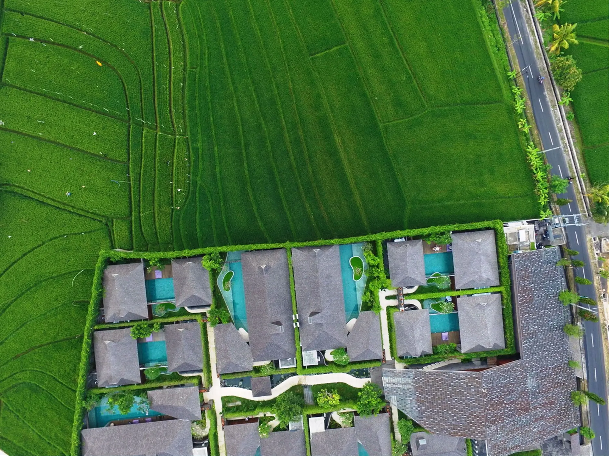 The Santai Villas, General view