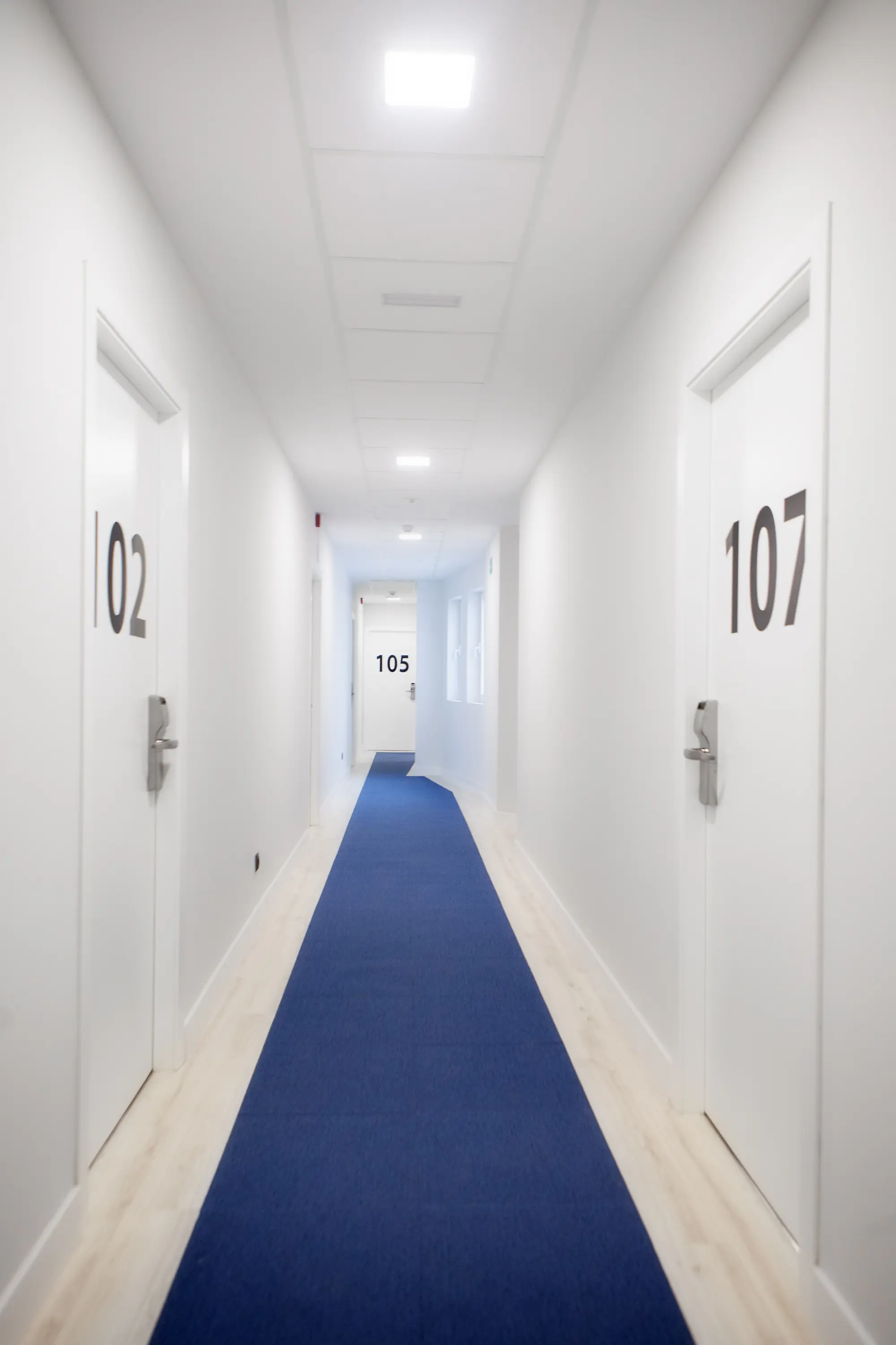 Hotel Itaca Boutique Artemisa, Lobby