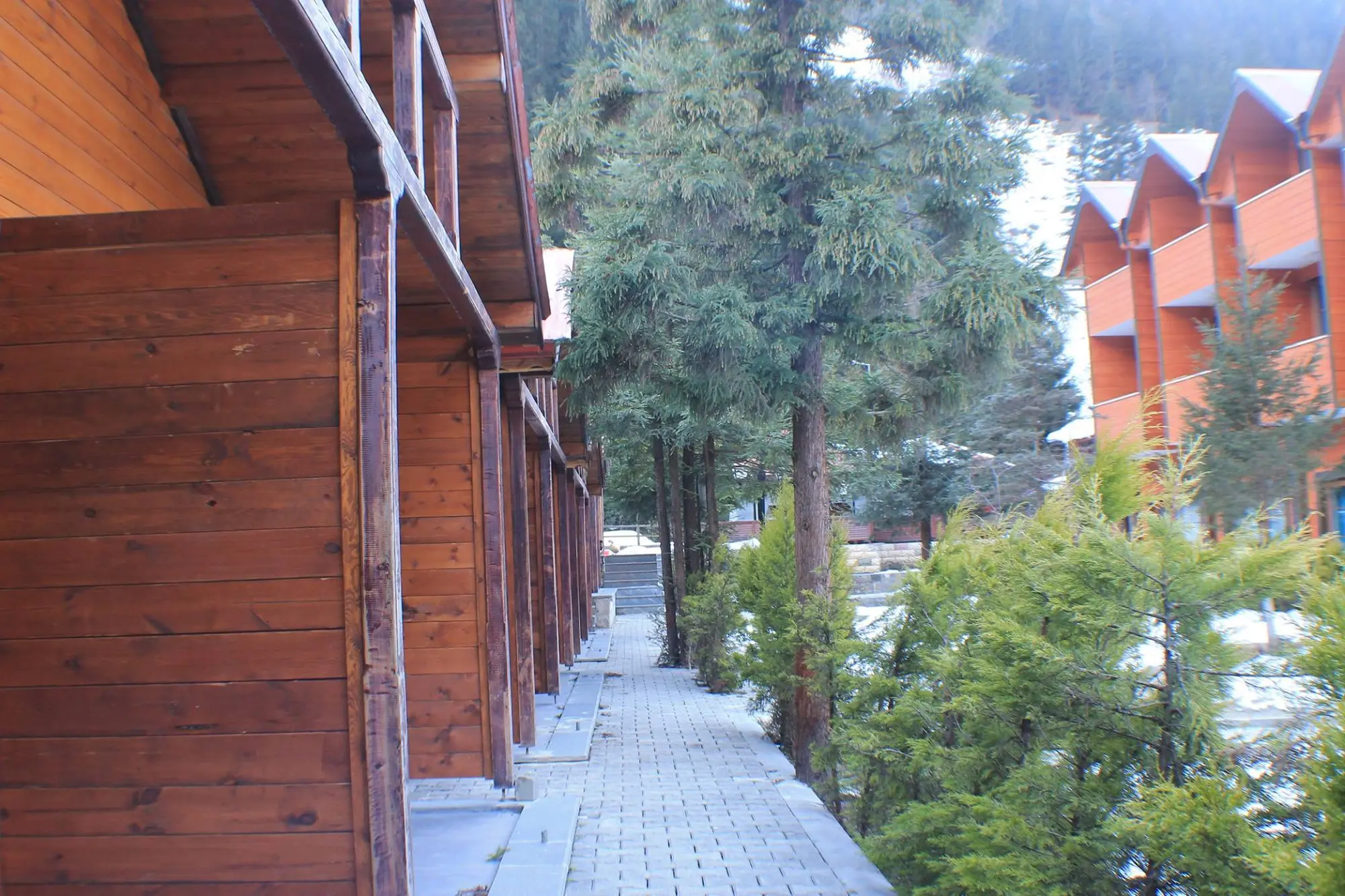 New Doga Resort, Bar