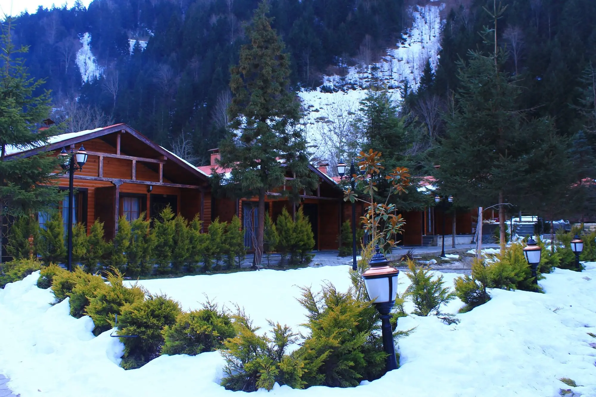 New Doga Resort, Room