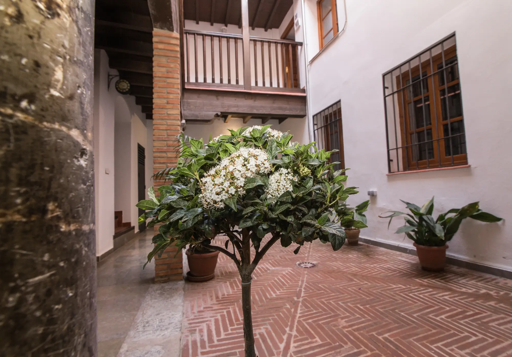 Apartamentos Nahira Suites 3000, General view