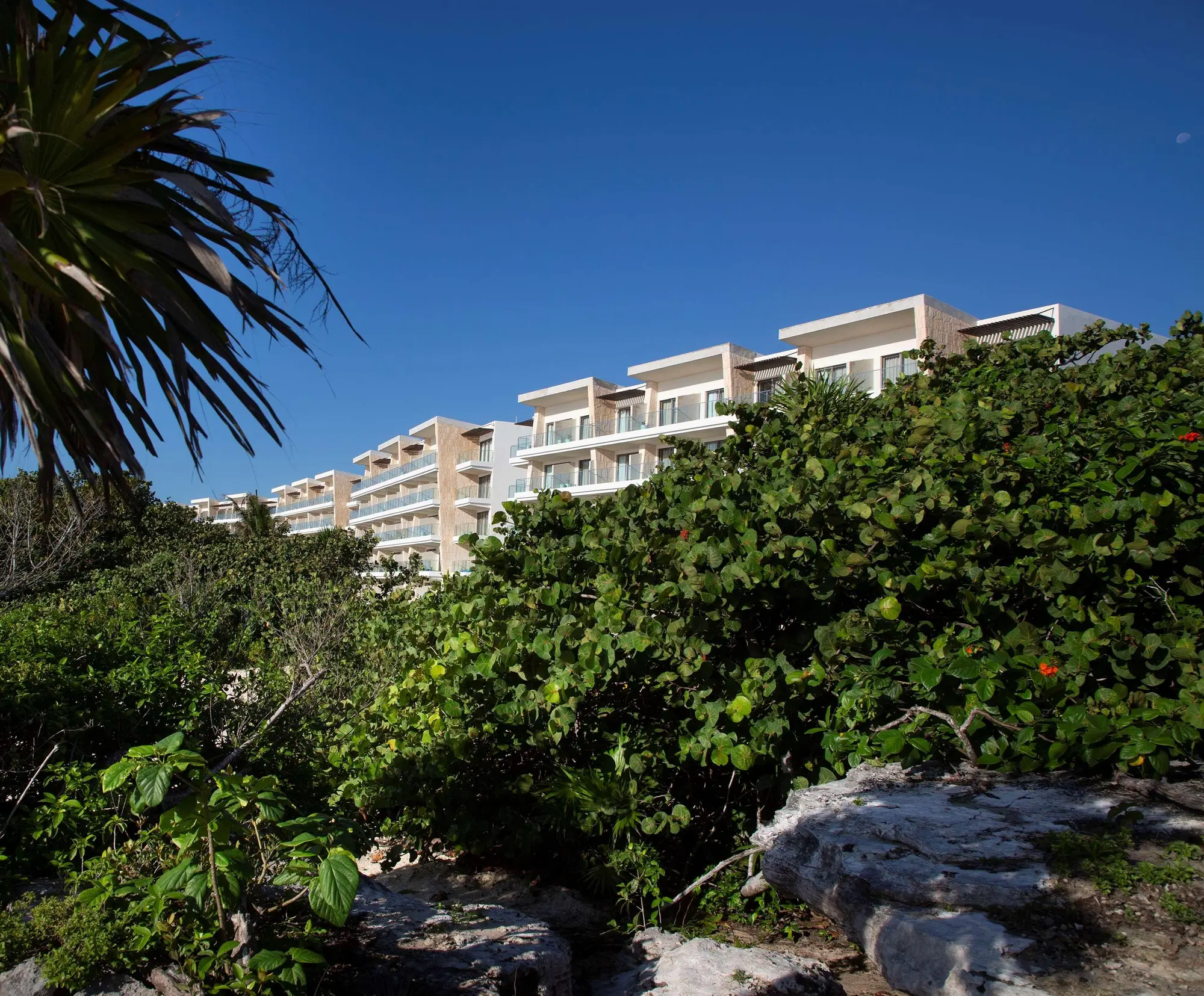 Palmaïa - The House of AïA Wellness All Inclusive, General view