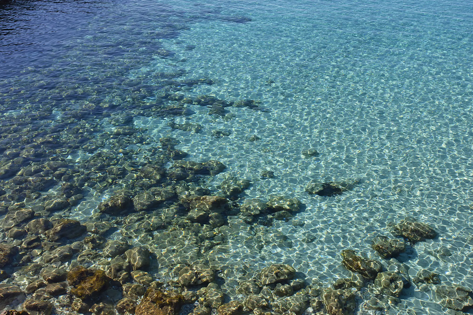 Cala Morlanda Estudios, Beach