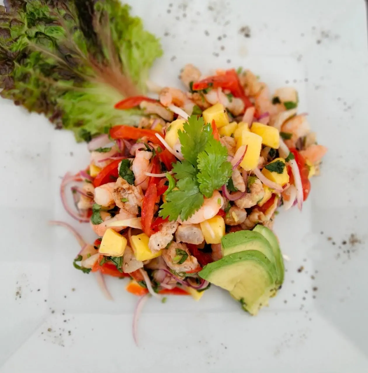 Playa Maya by MIJ, Restaurant