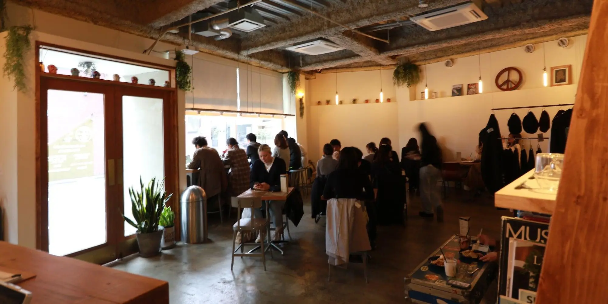 almond hostel and cafe, Bar