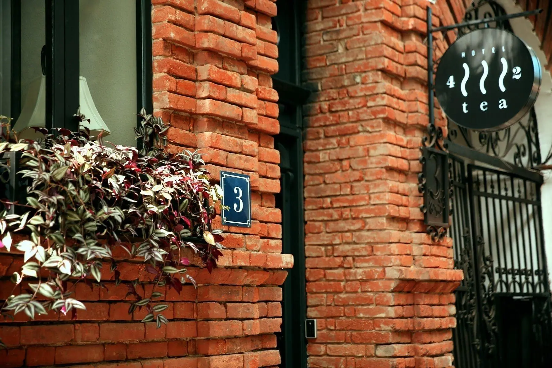 Tea for Two, General view