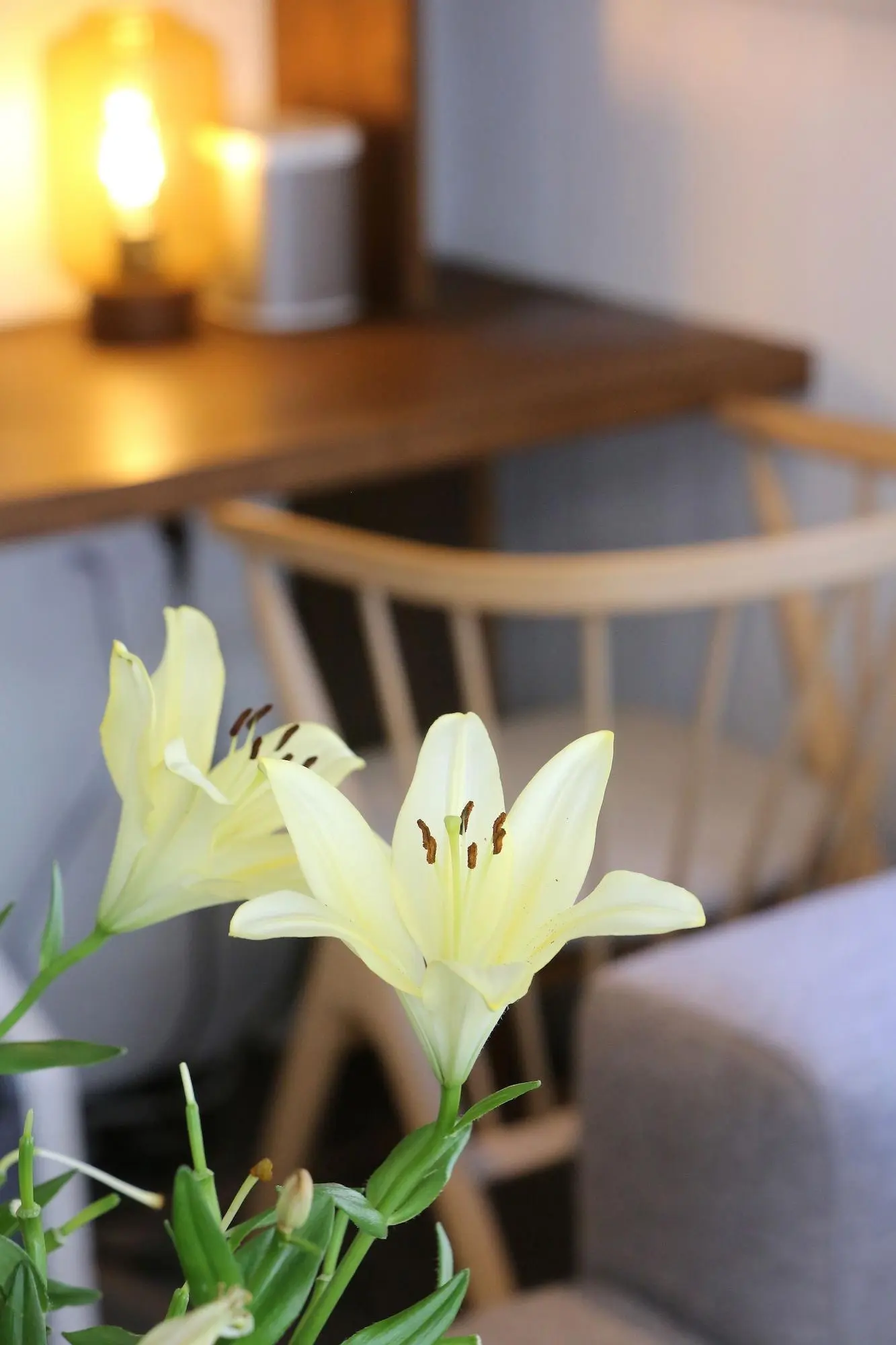 Chalet Hotel Whymper, Lobby