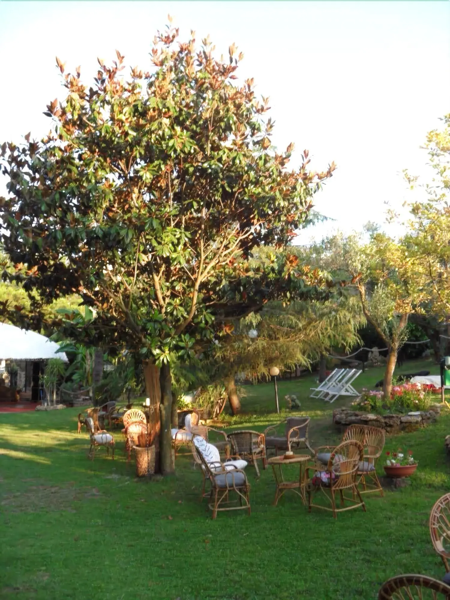 Hotel Il Corsaro, General view