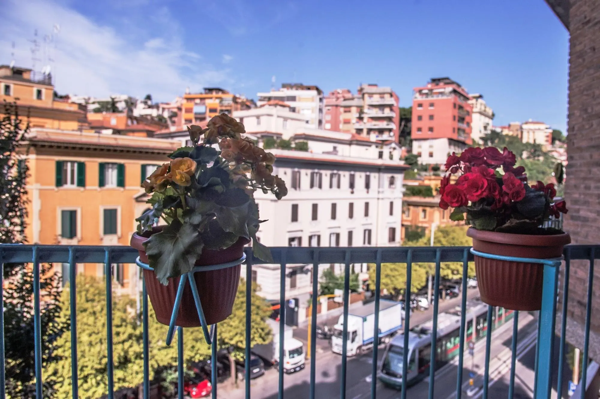 Trastevere Chic, General view