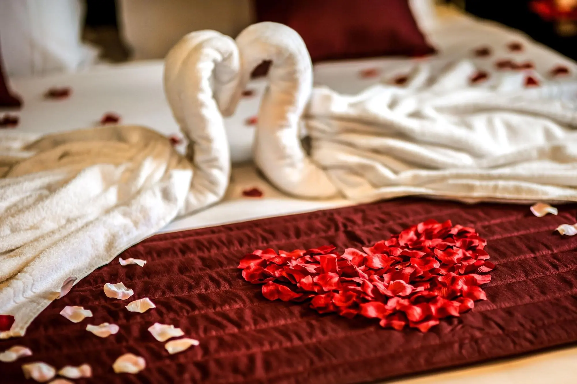 Grand Sapphire Hotel, Room