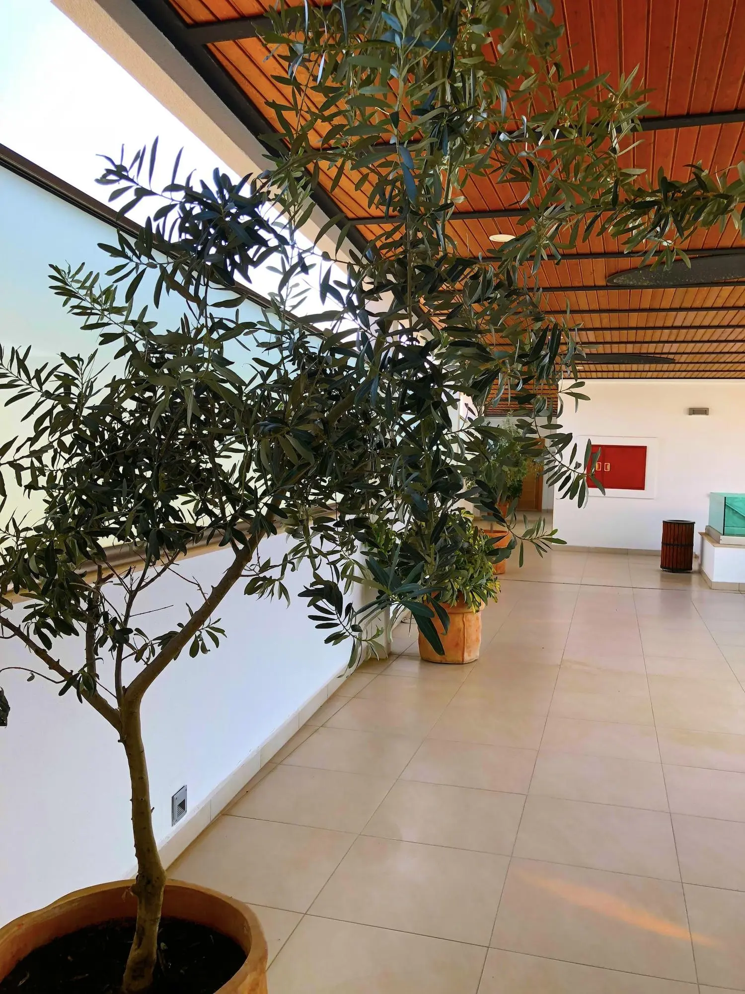 Zest Exclusive Hotel And Spa, Lobby