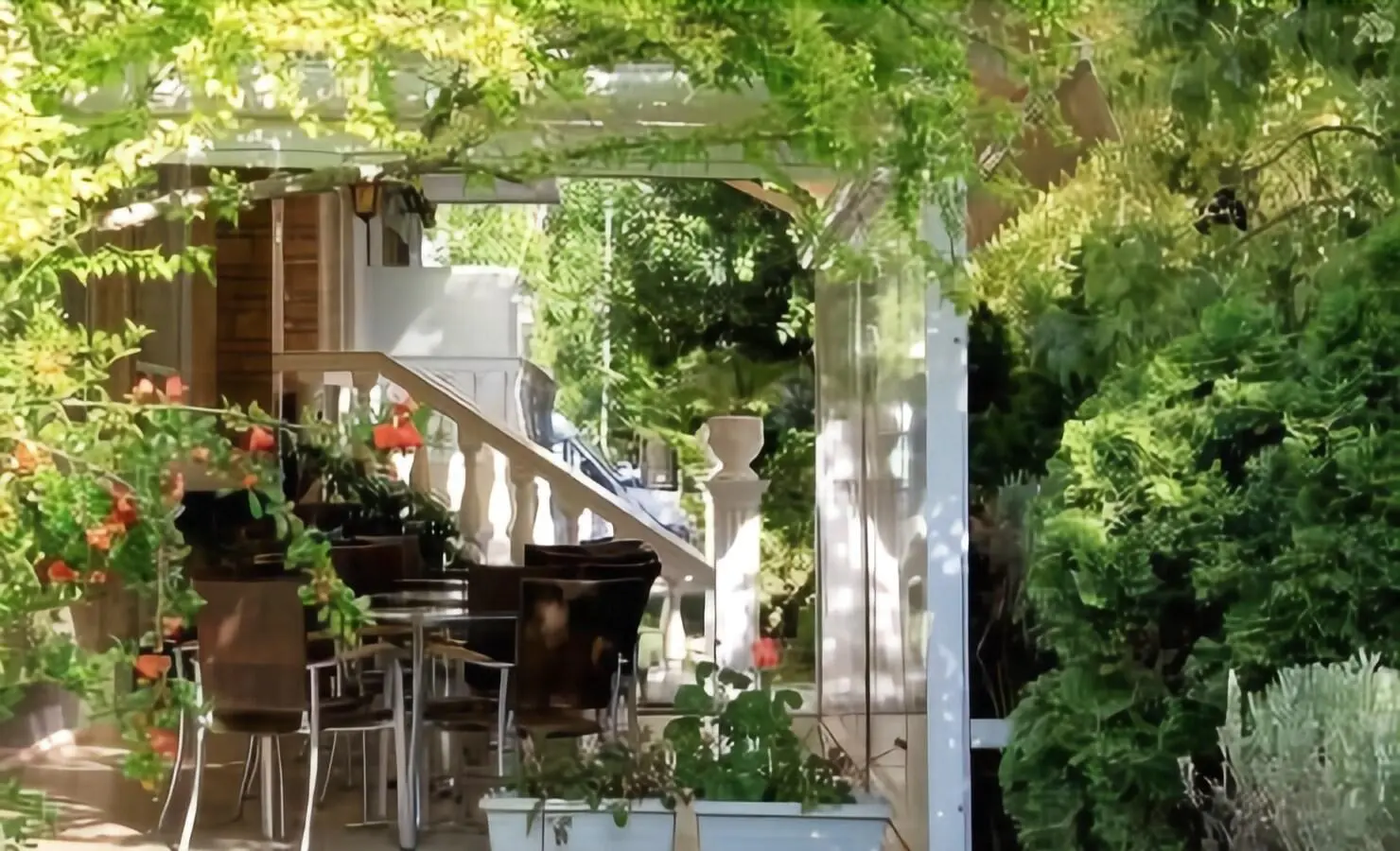 Hotel Platon, Terrace
