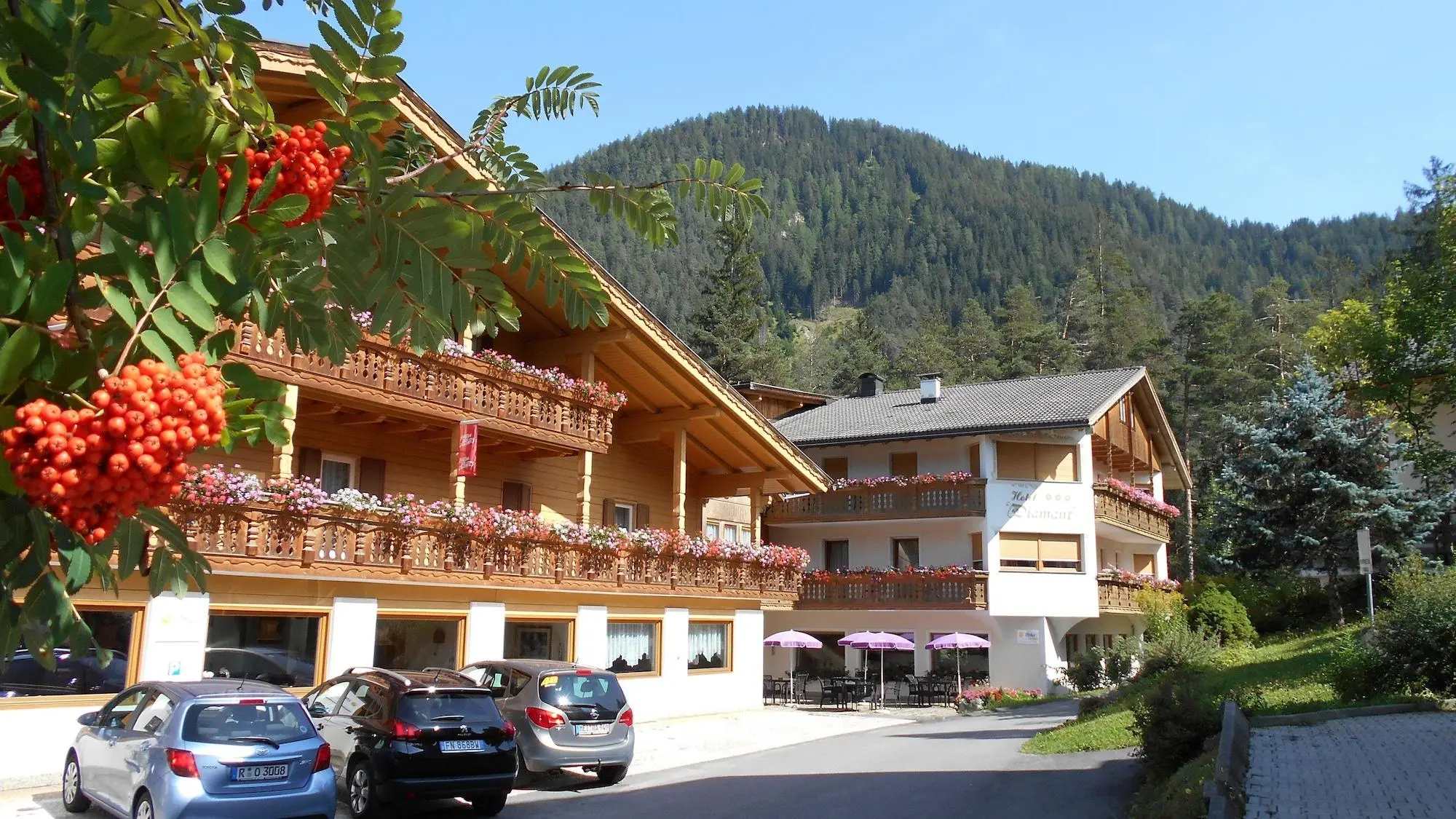 Chalet Hotel Diamant, General view