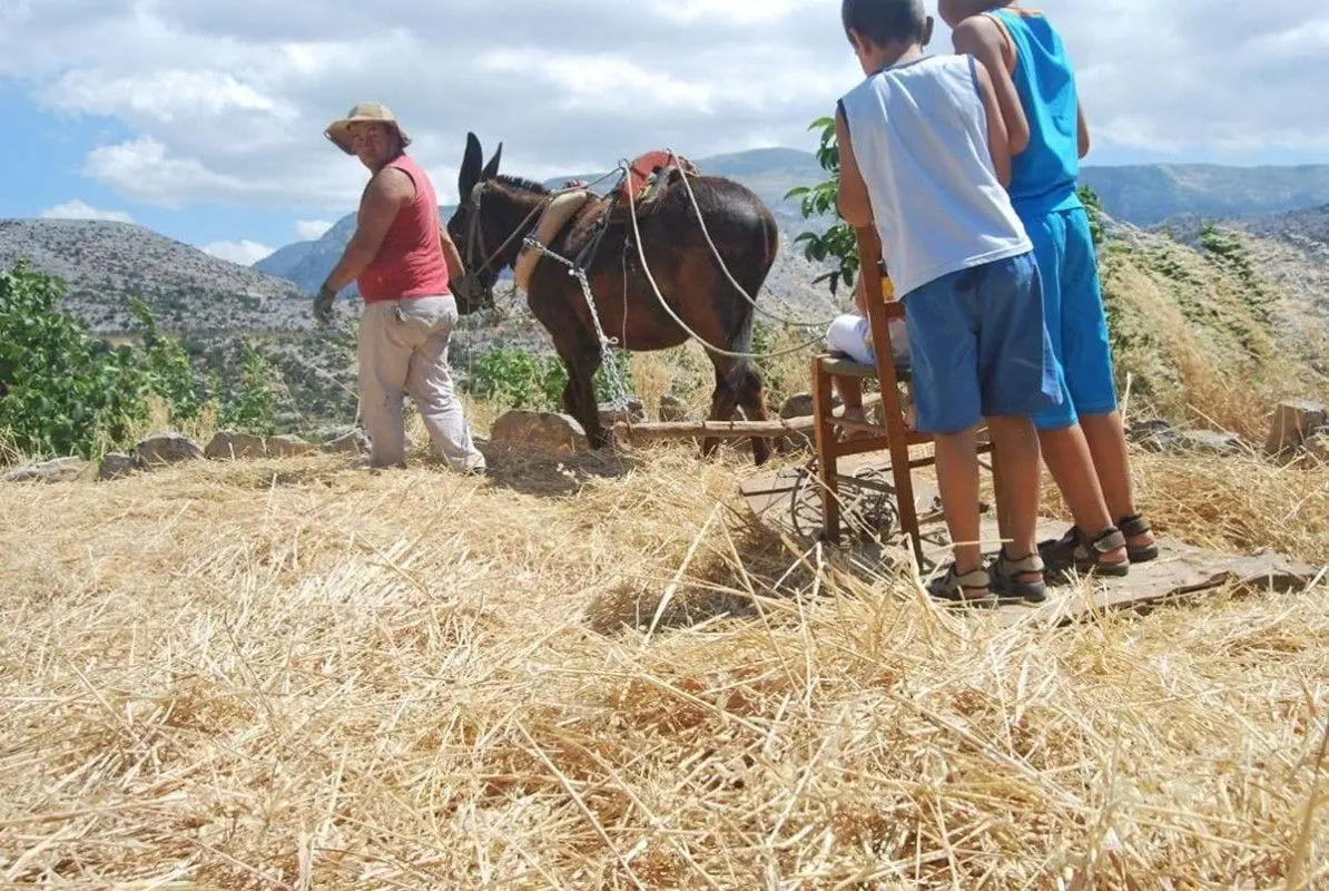 Arodamos Traditional Houses, Sports and Entertainment