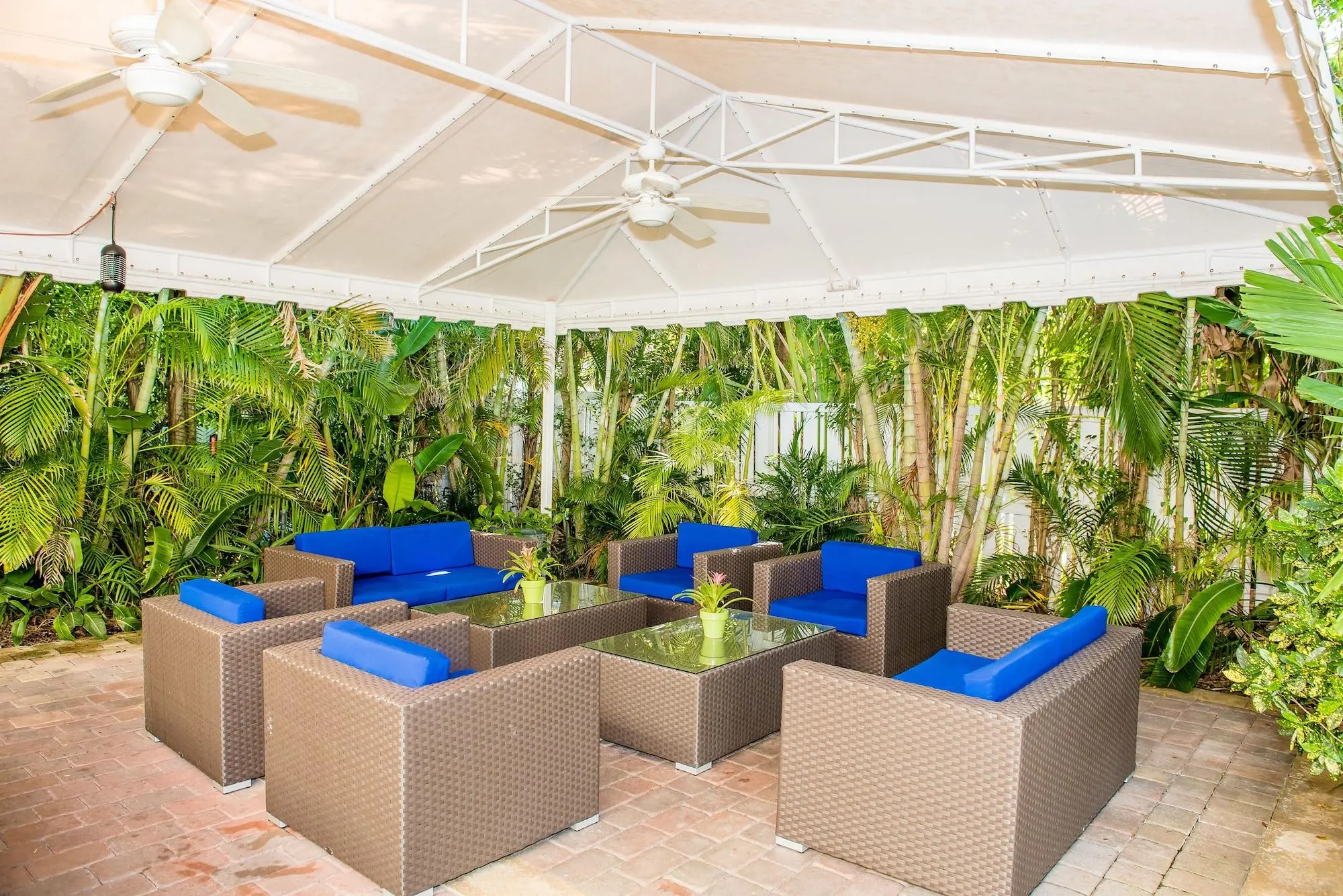 Ocean Lodge, Terrace
