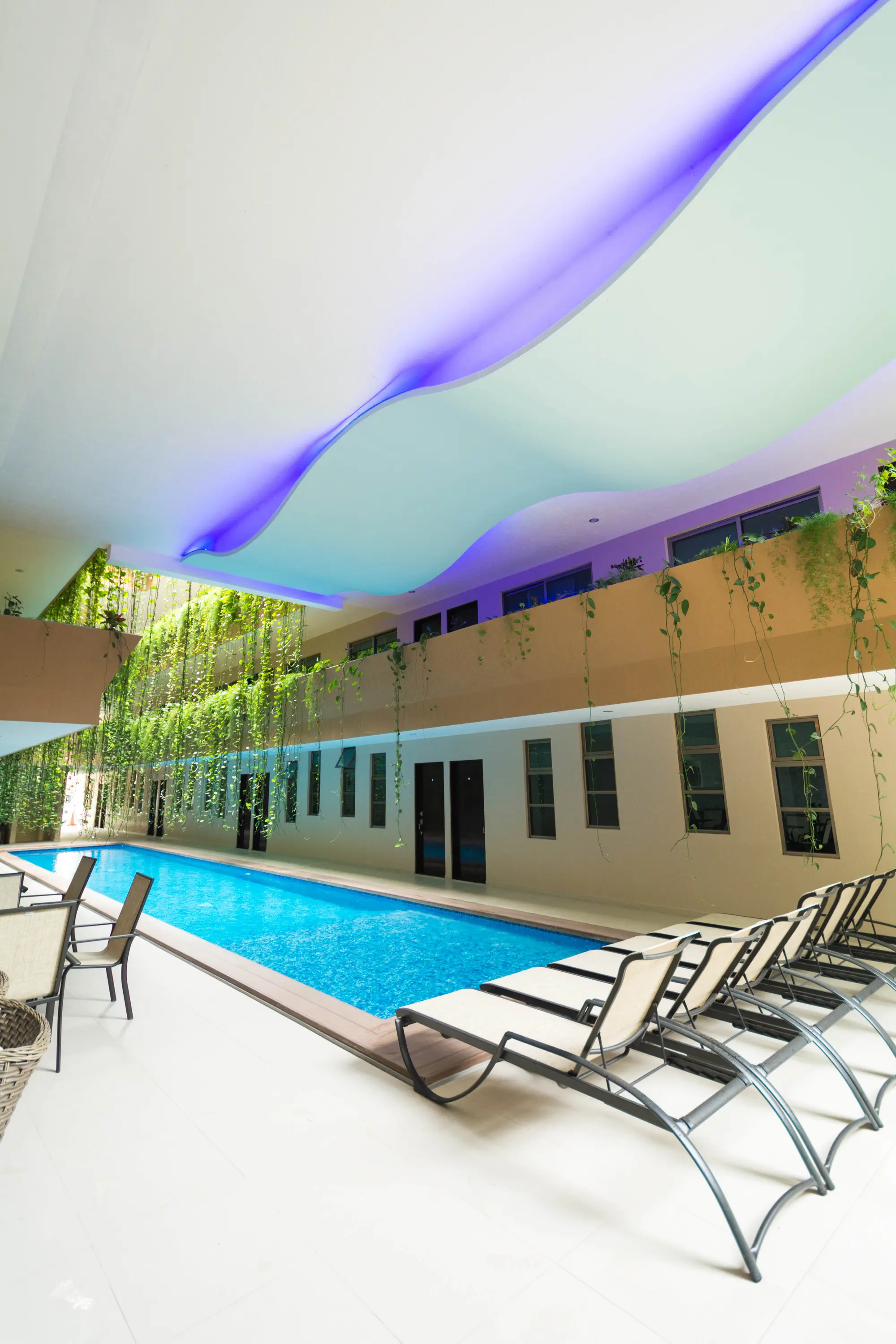 Palmarena by Nah Hotels, Pool