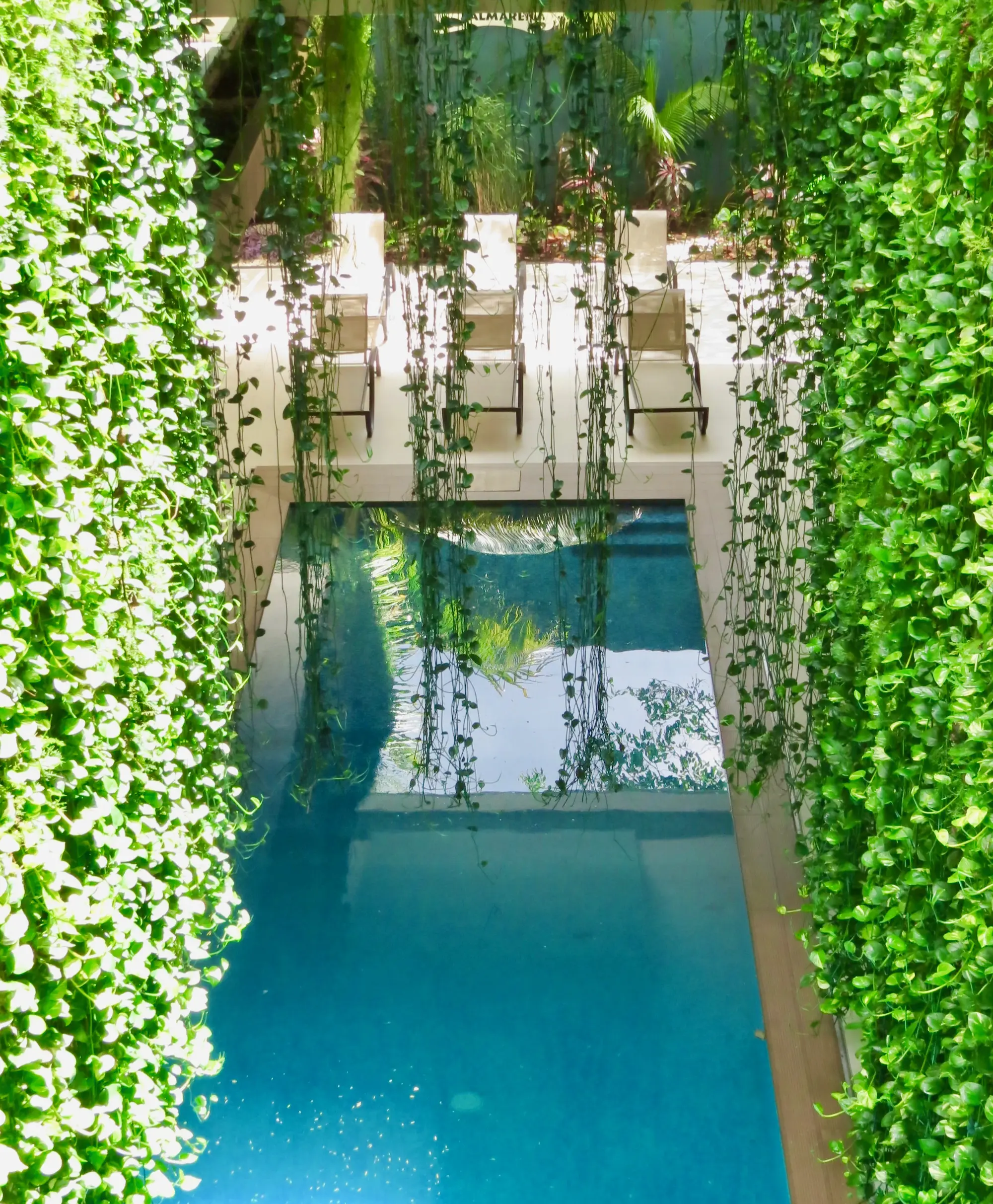 Palmarena by Nah Hotels, Pool