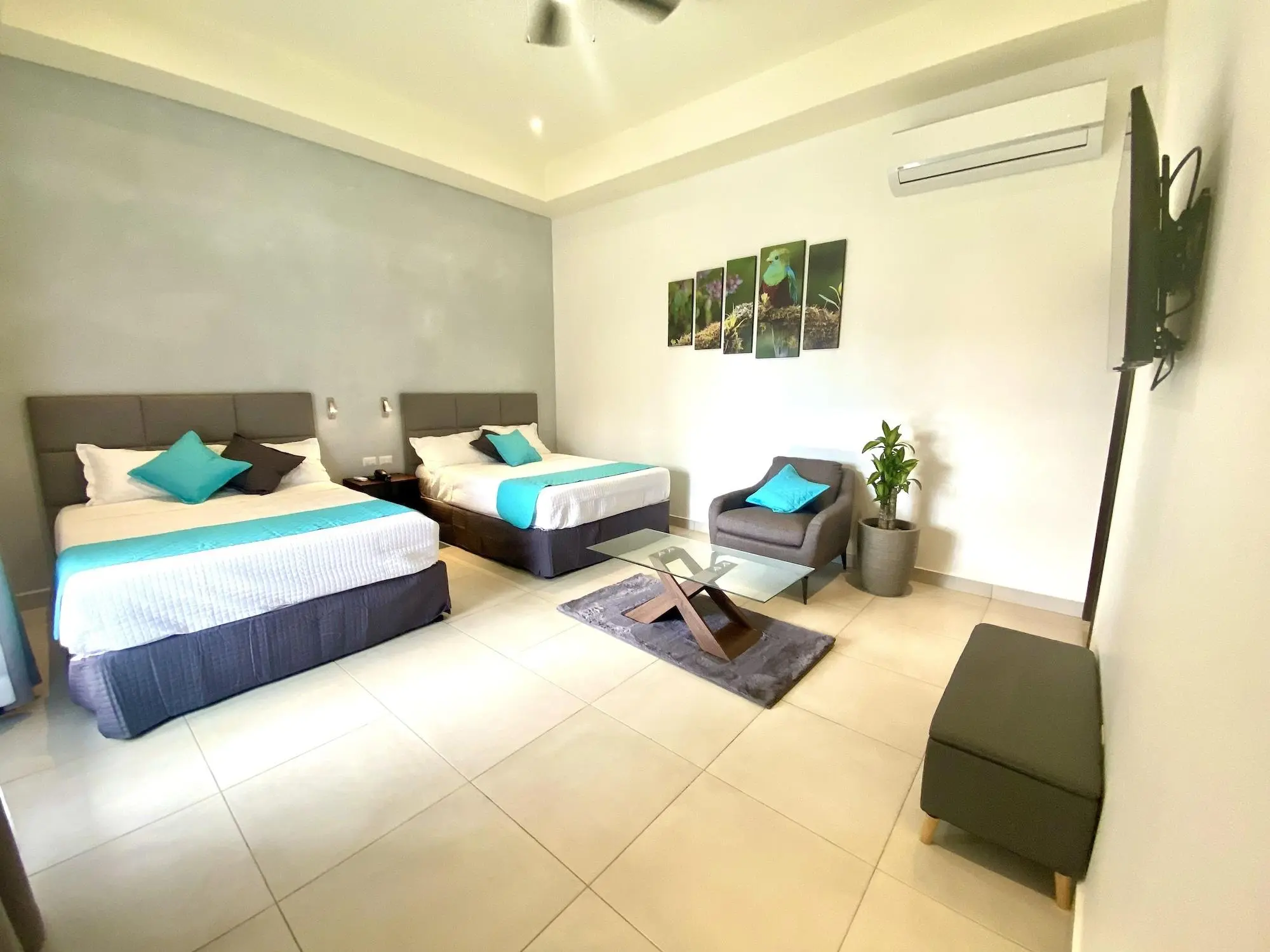 Hotel Naoz, Room