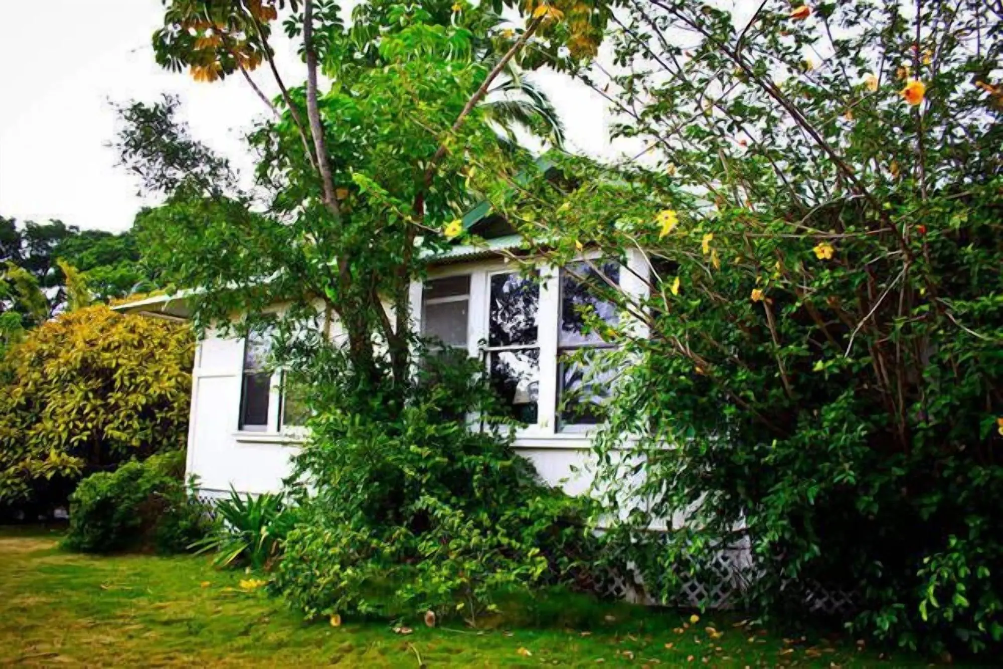 Pahala Plantation Cottages, General view