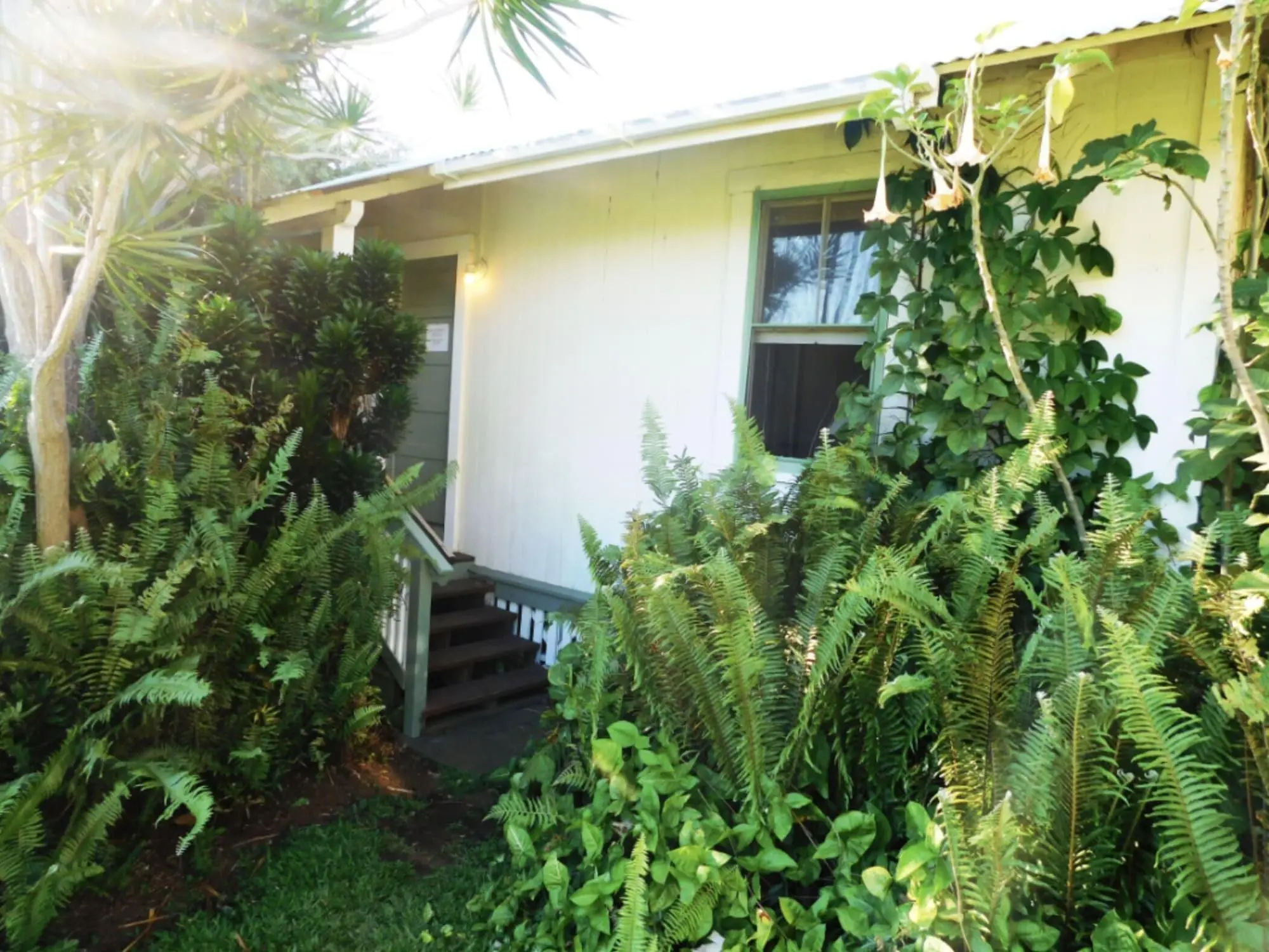 Pahala Plantation Cottages, General view