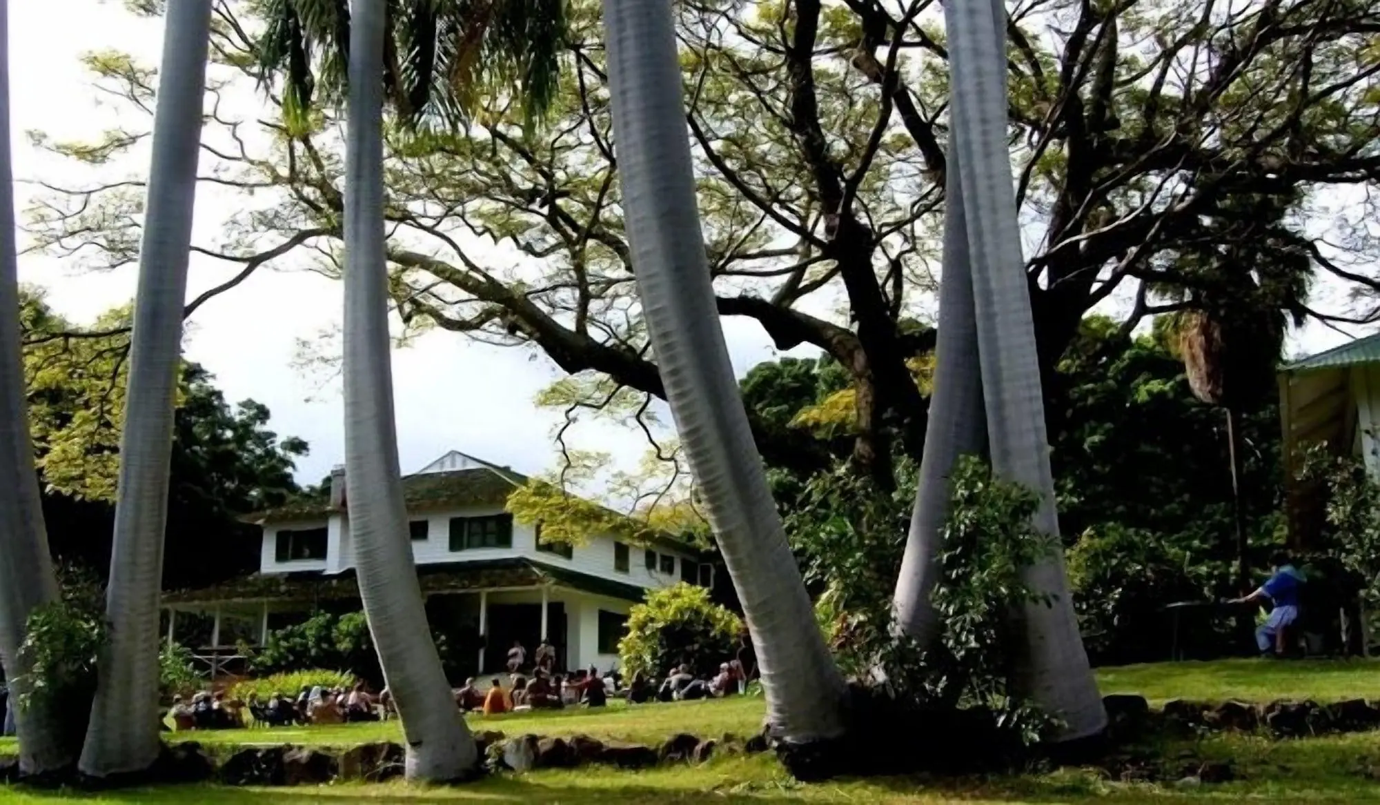 Pahala Plantation Cottages, General view