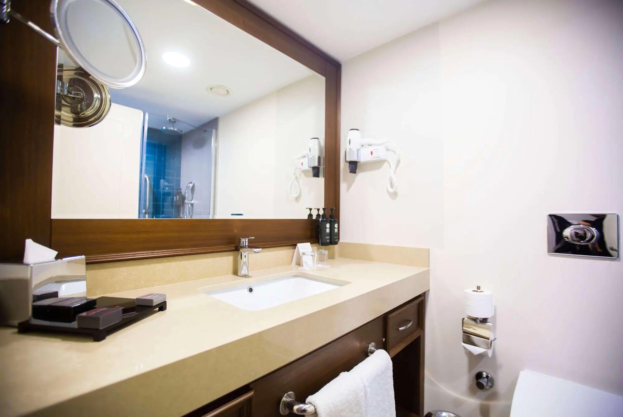 Ramada Plaza By Wyndham Istanbul Sultanahmet, Room