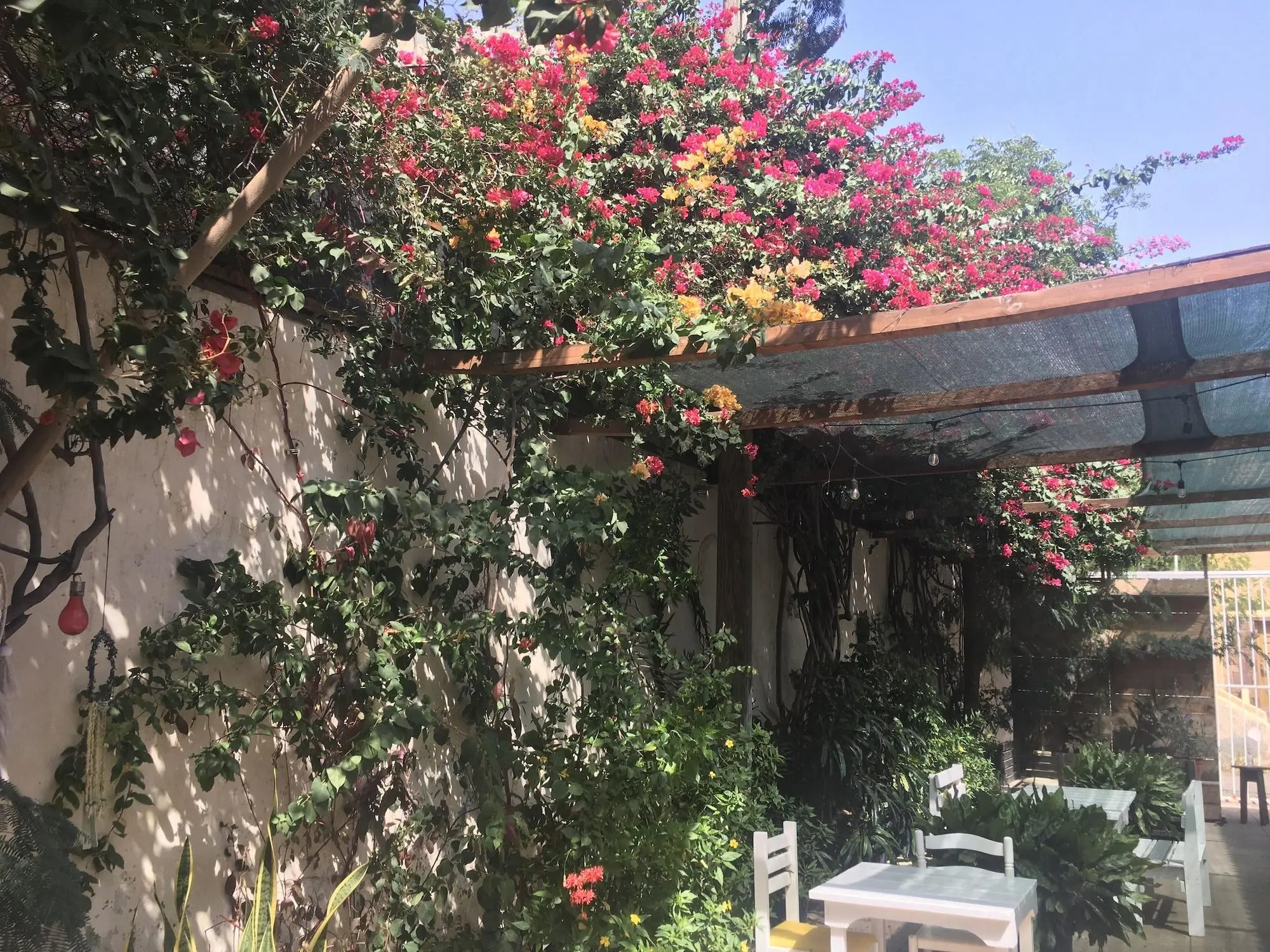 Syds Guesthouse I, General view