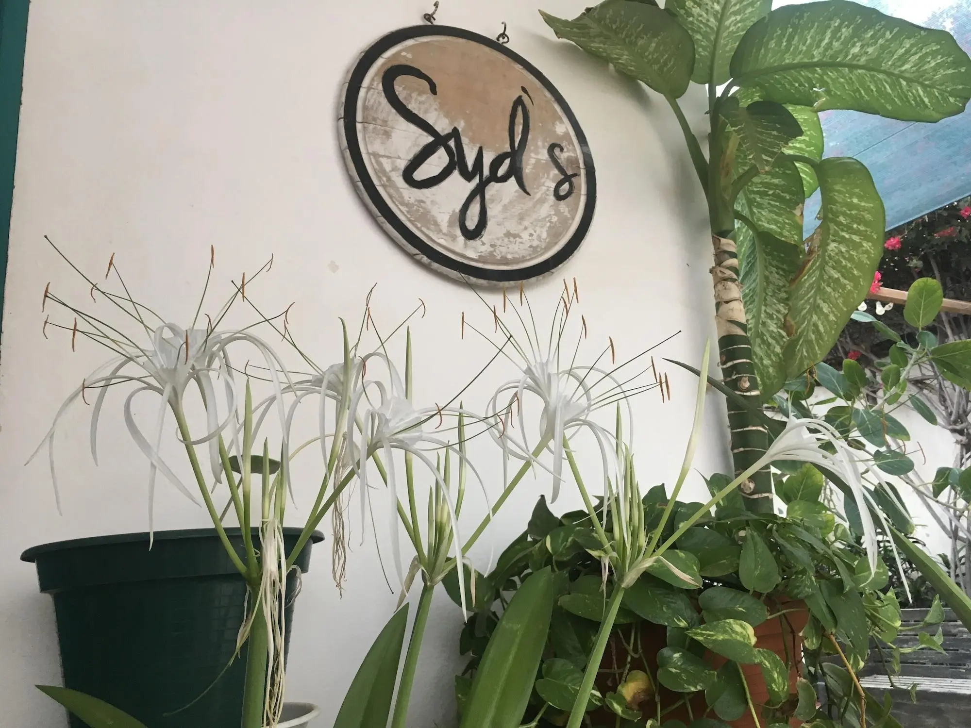 Syds Guesthouse I, General view