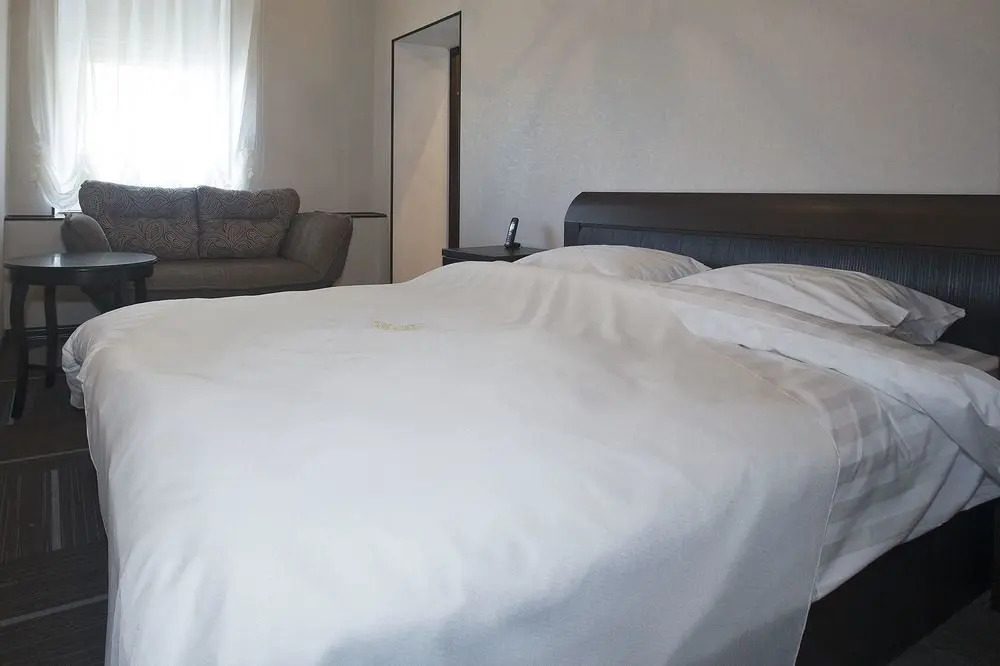 D'HOTEL TVERSKAYA, 