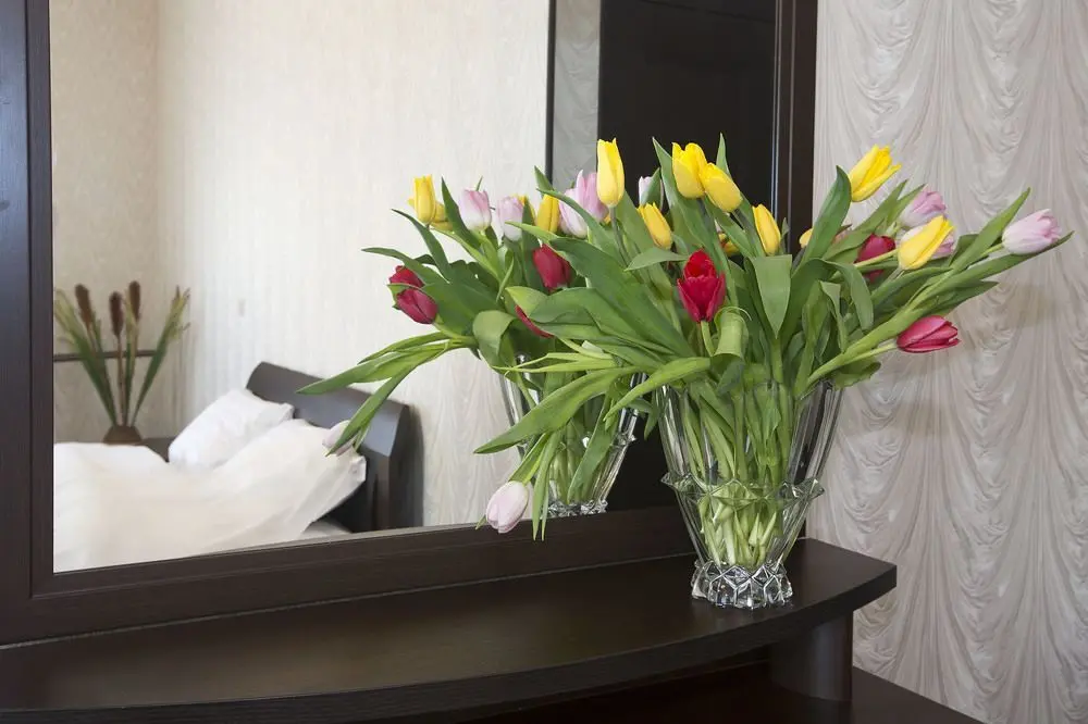 D'HOTEL TVERSKAYA, 