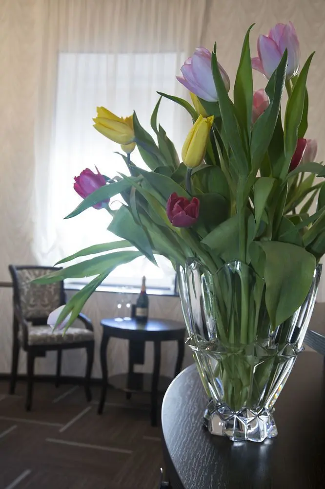 D'HOTEL TVERSKAYA, 
