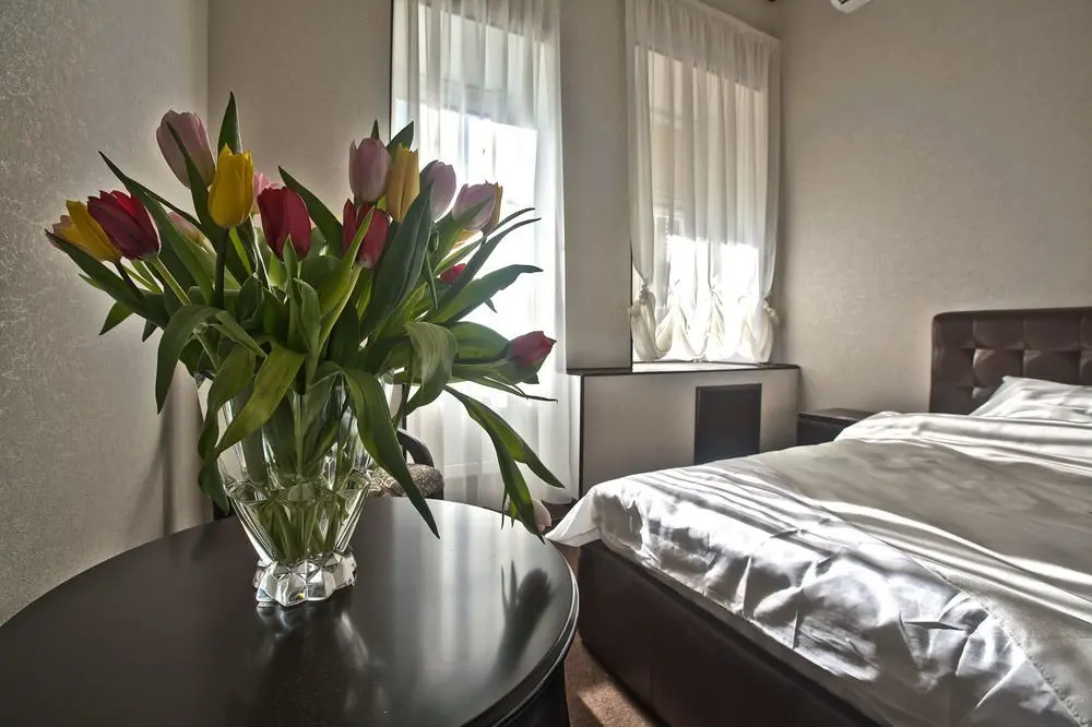D'HOTEL TVERSKAYA, 